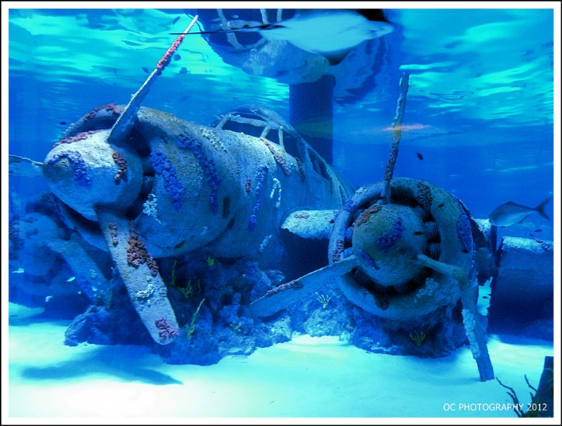 ANTALYA AQUARIUM - Adventure Tours