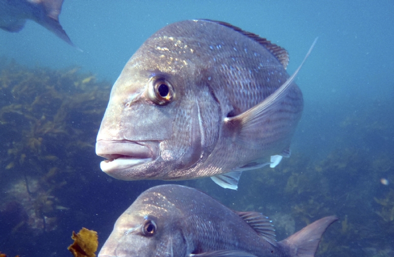 FISHING LAKE OR SEA - Adventure Tours