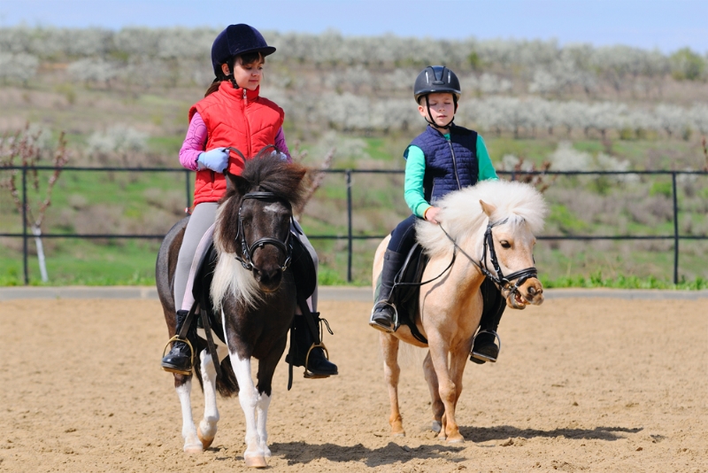 HORSE RIDING - Adventure Tours