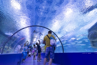 Adventure Tours - ANTALYA AQUARIUM