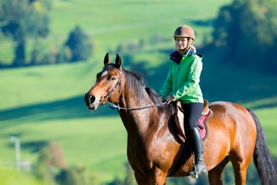 Adventure Tours - HORSE RIDING