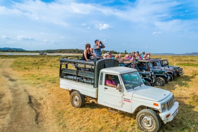 Adventure Tours - JEEP SAFARI